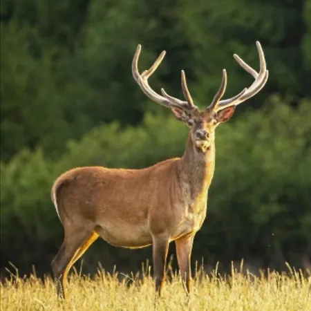 Art&sun In An Incredible Village 民宿 *